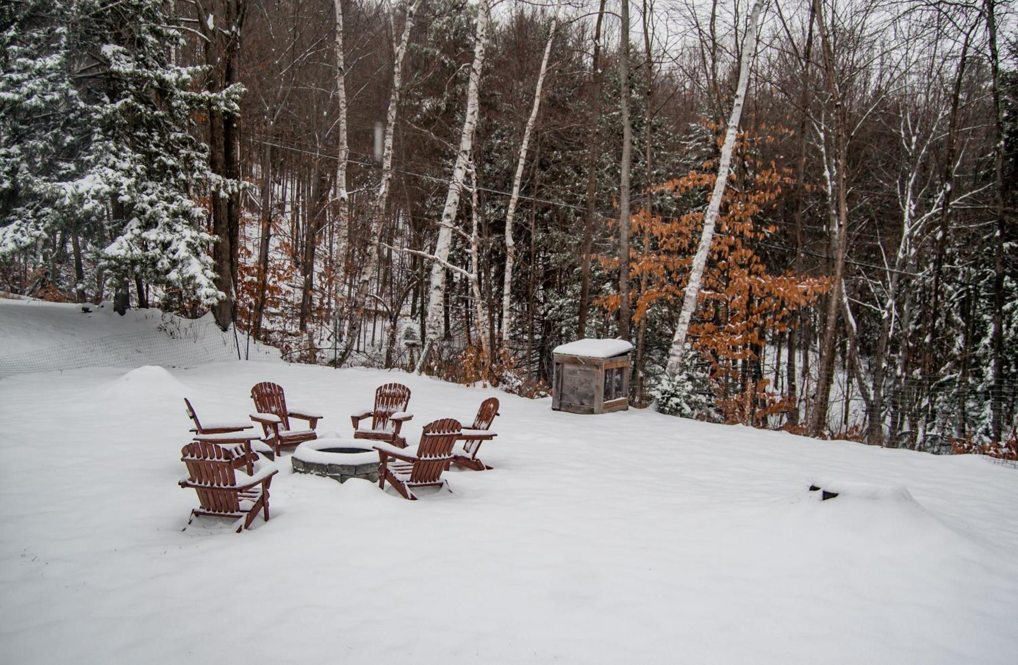 Birch House: Cozy Cabin 5 Min From Okemo 拉德洛 外观 照片